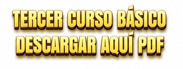 3er Curso Básico