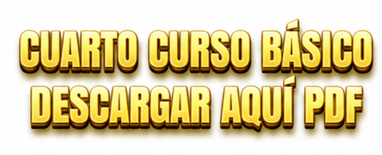 4to Curso Básico