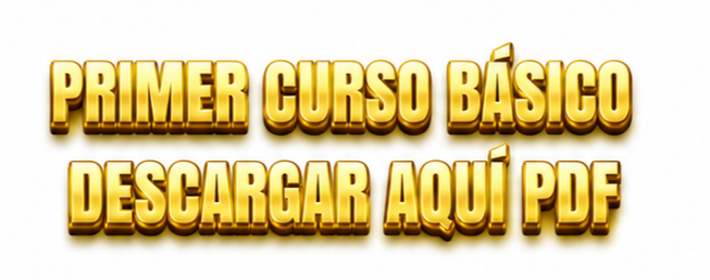 1er Curso Básico